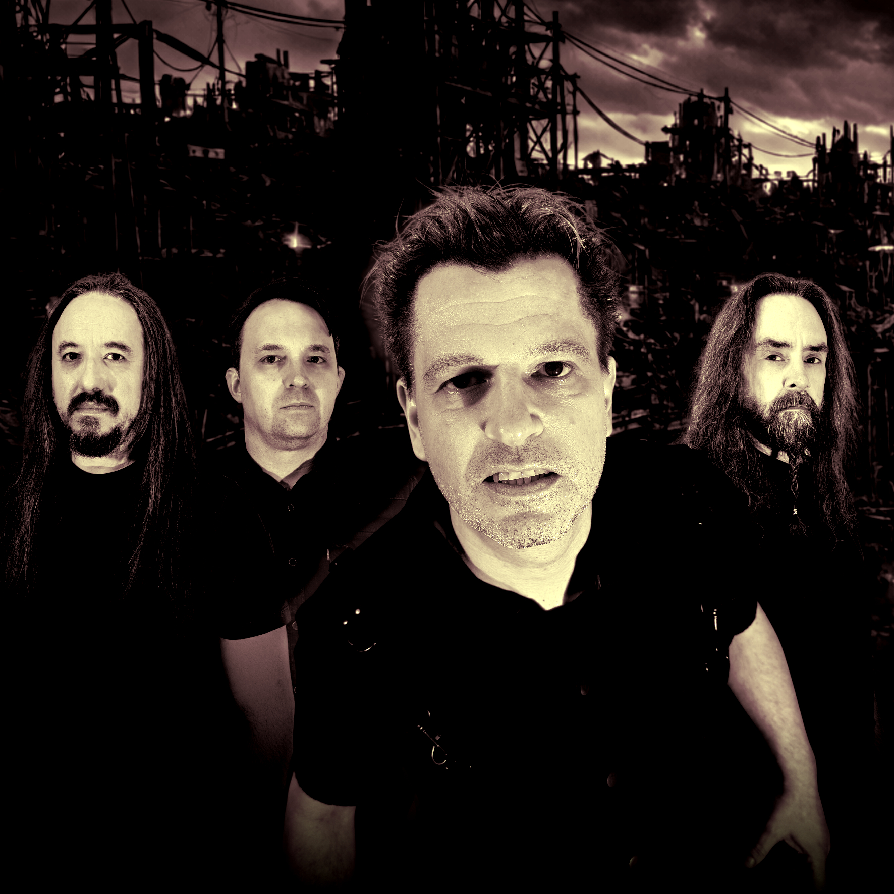 Bandfoto von Grauschleier